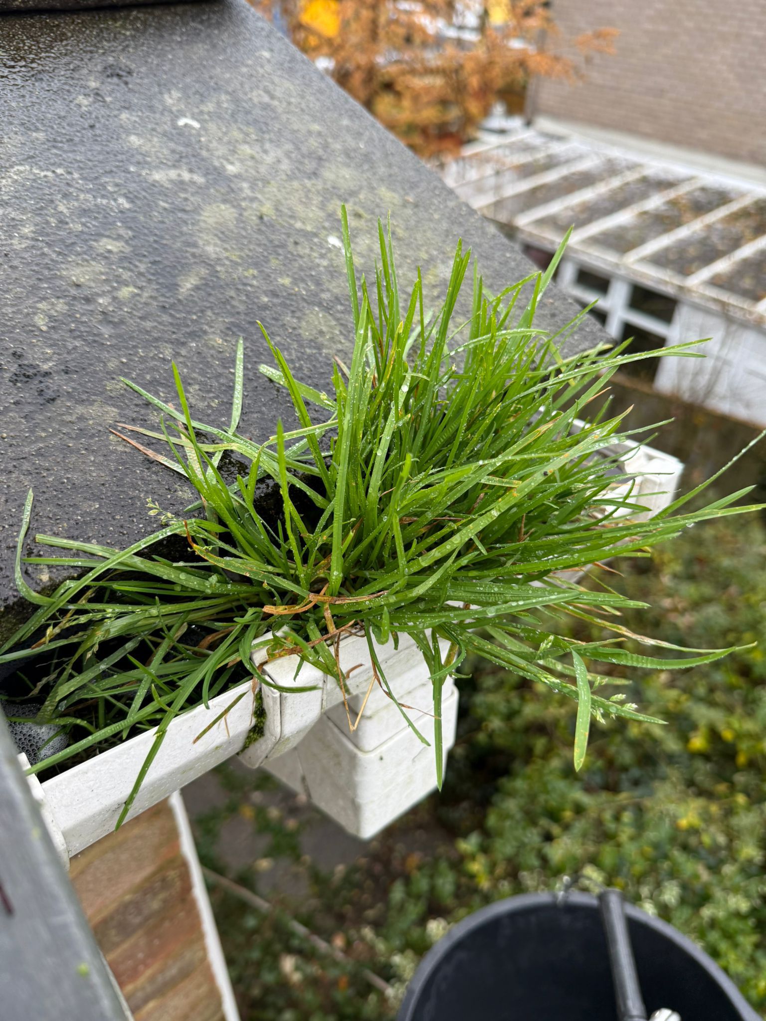 Blocked gutter downpipe in Basingstoke
